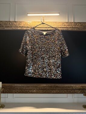 H&M Sequin Short Sleeve Top in Black and Silver